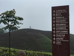 -帐篷客·溪龙茶谷度假酒店