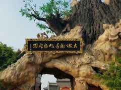 -大槐树寻根祭祖园