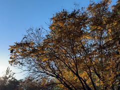 -森林公园(尖草坪区)