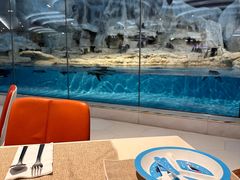 -帝企鹅自助餐厅•儿童岛•真企鹅(长隆企鹅酒店)