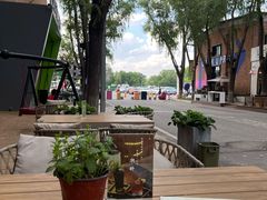 -信马画室 成人零基础到个人创作画室(亚运村店)