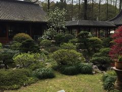 -上海植物园-4号门售票处