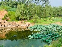-莫子山公园