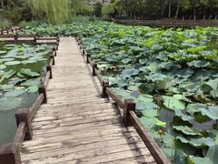-南翠屏公园