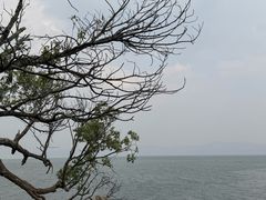 -抚仙湖禄充风景区