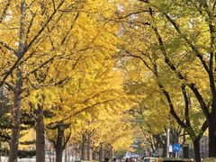 -秋栗香(地安门店)