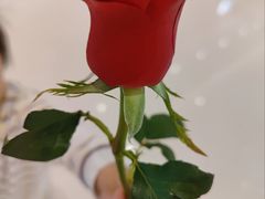 -好利来(上海长宁龙之梦店)