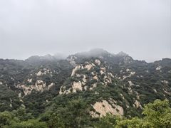 -大岭沟猕猴桃谷风景区