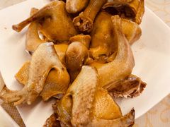 -百利鸽王(紫薇路店)