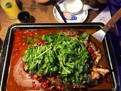 海鲈鱼-炉鱼(天河领展店)
