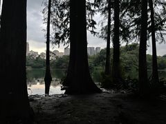 -重庆彩云湖湿地公园