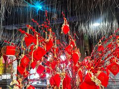 -铭记蛙小仙·活蛙畅享(CBD万达广场店)