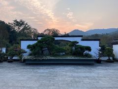 -杭州植物园