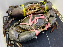 -欢乐海岸美食联盟