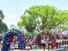 -无锡蠡湖国家湿地公园-蠡园