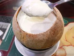 原只椰子炖奶-民信老铺(华盖路店)