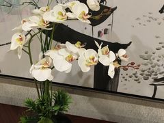 -蓝蔻酒店(深圳东站布吉万象汇店)