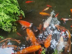 -闲亭(九眼桥店)