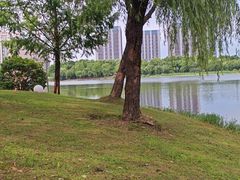 -南翔镇银翔湖公园