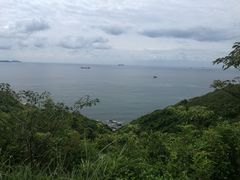 -西涌国际滨海旅游区