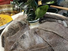精品毛肚-小王少龙火锅(沙南街店)