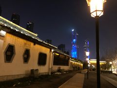 -南京眼步行桥