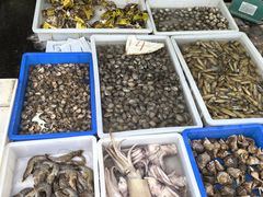 -成寿寺(地铁站)