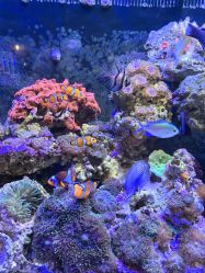 -Zoolung Zoolung动物主题公园(海信广场店)