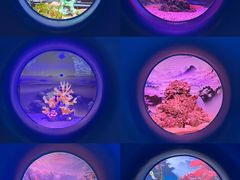 -欢乐海岸海洋奇梦馆