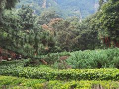 -天津盘山风景名胜区