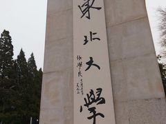 校门-东北大学(南湖校区)