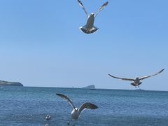 -银沙滩浴场