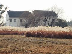-梁鸿国家湿地公园