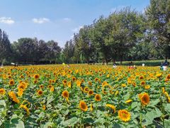 -长白岛森林公园