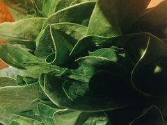 -南门四季铜锅涮肉(大屯·北苑店)