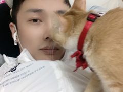 -瑞鹏宠物医院·骨科·猫科·内科(第一中心)