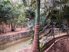 -龙达温泉生态城