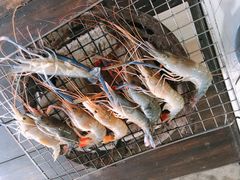 烤虾-Jomtien Talay Pao Pattaya