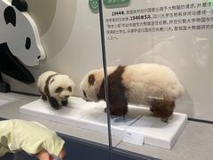 -四川大学博物馆