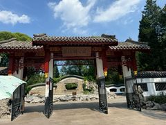 -团结湖公园
