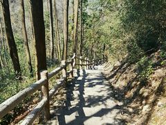 -藏龙百瀑风景区