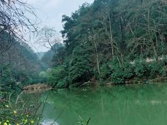 -黔灵山公园