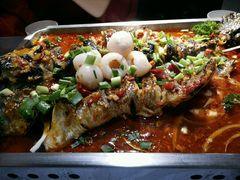 -鱼酷活鱼烤鱼(昆明路店)