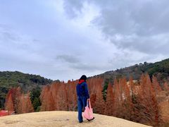 -神户市立六甲山牧场