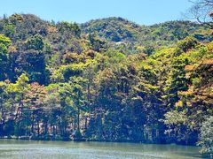 -广州市石门国家森林公园