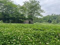 -桤木河湿地公园