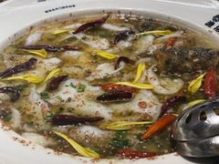 -渔语鱼新川菜Bistro(万象天地店)