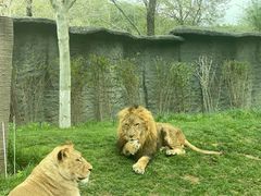 -北京野生动物园