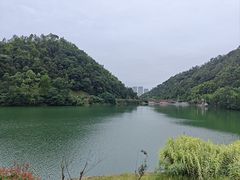 -桃花岭景区