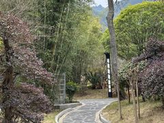 -剑河仰阿莎温泉小镇